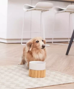 TeamsonUS New Teamson Pets Billie Raised Dishwasher Safe Ceramic Pet Bowl With Bamboo Stand