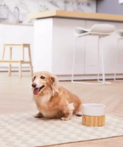 TeamsonUS New Teamson Pets Billie Raised Dishwasher Safe Ceramic Pet Bowl With Bamboo Stand
