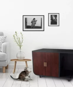 TeamsonUS Teamson Pets Large Dyad Wooden Cat Litter Box Enclosure And Side Table, Mocha Walnut