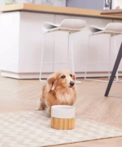 TeamsonUS New Teamson Pets Billie Raised Dishwasher Safe Ceramic Pet Bowl With Bamboo Stand