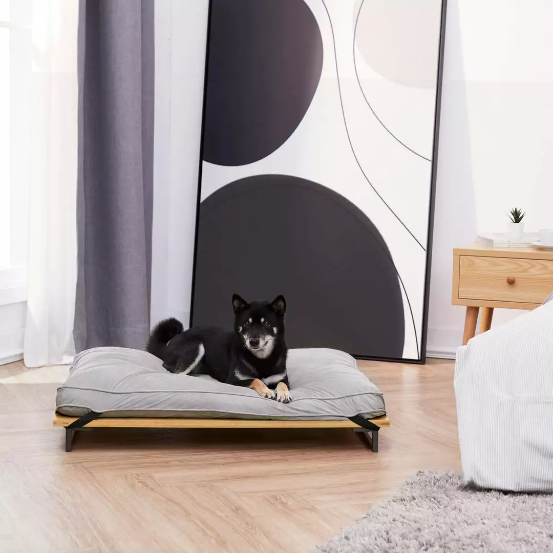 TeamsonUS Teamson Pets Hassan Large Elevated Dog Bed With Frame And Cushion, Gray 4 TeamsonUS Teamson Pets Hassan Large Elevated Dog Bed With Frame And Cushion, Gray