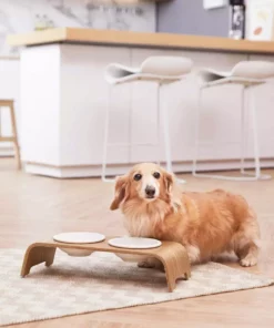 TeamsonUS Teamson Pets Billie Small Elevated Ash Wood Pet Feeder With Ceramic Bowls, Brown