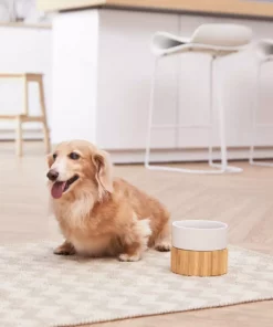 TeamsonUS New Teamson Pets Billie Raised Dishwasher Safe Ceramic Pet Bowl With Bamboo Stand