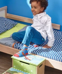 TeamsonUS Fantasy Fields Kids Transportation Themed Step Stool With Storage, Green