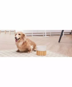 TeamsonUS New Teamson Pets Billie Raised Dishwasher Safe Ceramic Pet Bowl With Bamboo Stand