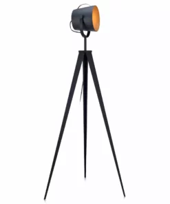 TeamsonUS Teamson Home Artiste 62" Modern Tripod Floor Lamp With Adjustable Head, Black/Gold