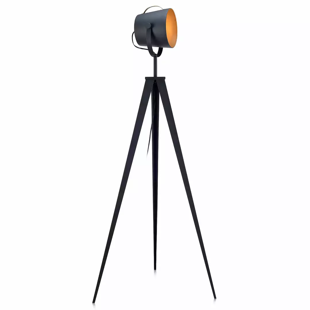 TeamsonUS Teamson Home Artiste 62" Modern Tripod Floor Lamp With Adjustable Head, Black/Gold 3 TeamsonUS Teamson Home Artiste 62" Modern Tripod Floor Lamp With Adjustable Head, Black/Gold